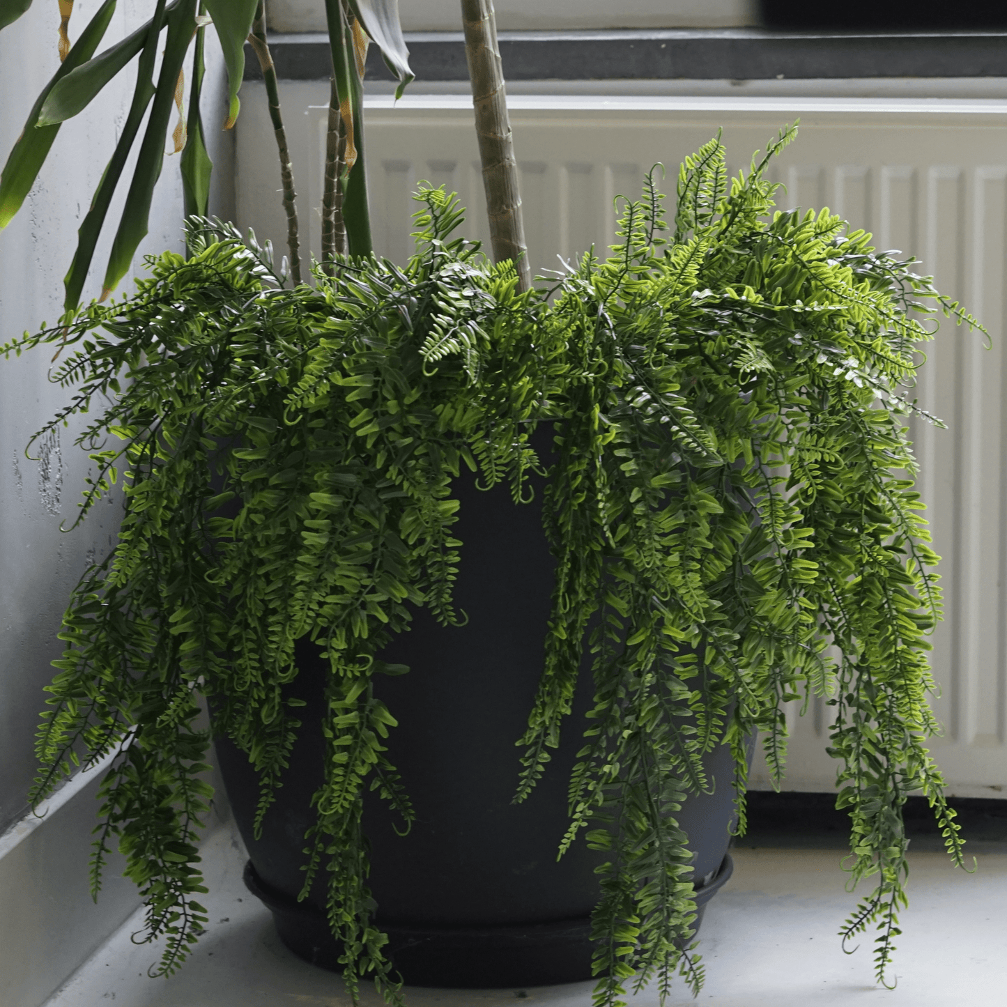 Kunsthangplanten 4 stuks – 65 cm lang – Inclusief pot - Zaltino